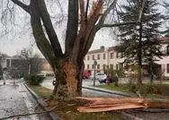 Son dakika: Türkiye Büyük Millet Meclisi bahçesine yıldırım düştü