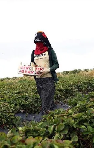 Tarımda kadınlar için iş seferberliği