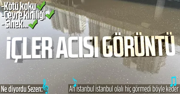 Bakırköy Ayamama Deresi'nde durum içler acısı! CHP'li İBB Ayamama Deresi'ni kaderine terk etti! Çevre kirliliği, koku, sinek…-1