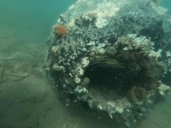 1690562113016.jpeg Bozcaada açıklarında bulunan patlamamış mayın imha edildi-2