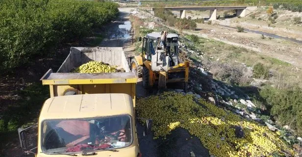 Adana’da akıllara durgunluk veren manzara! Tonlarca limon dere yatağına döküldü