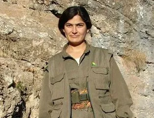 PKK’nın sözde yöneticisi etkisiz hale getirildi