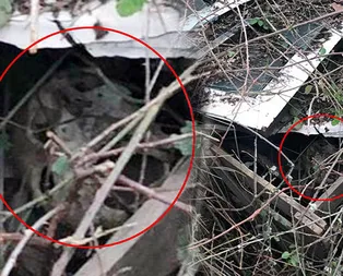 Çoban, dere kenarında buldu! İnsan kafatası...