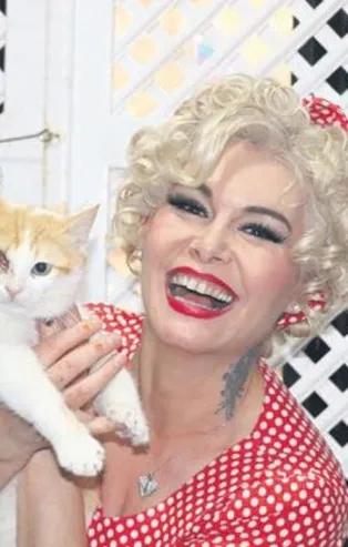 İyilik Melek’i! Mardinli Marilyn Monroe kendini sahipsiz kedilere adadı