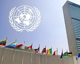 BM’den flaş Arakan kararı!