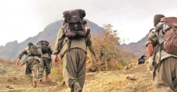 PKK’nın dağ kadrosundaki terörist tutuklandı