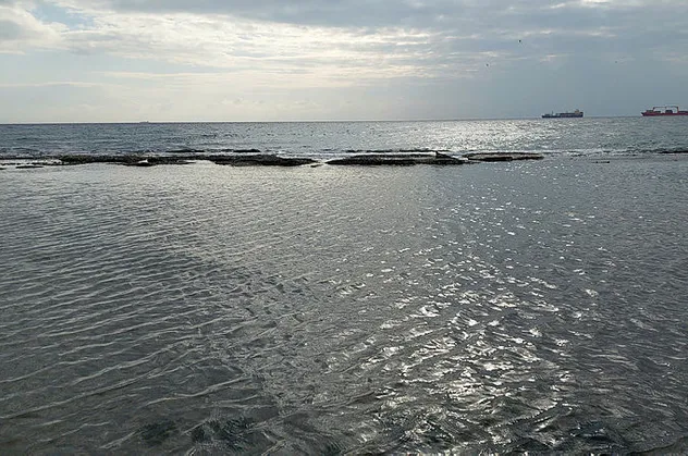 Marmara Denizi 15 metre çekildi! Tekirdağ'da ortaya çıktı! Gören fotoğrafını çekiyor