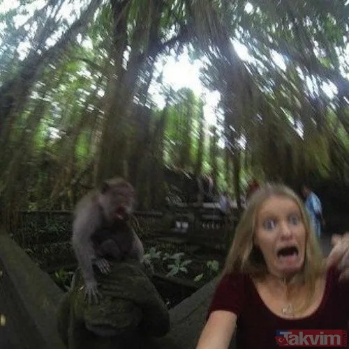 Sadece selfie çekmek istemişti! Başına öyle bir şey geldi ki... - 11