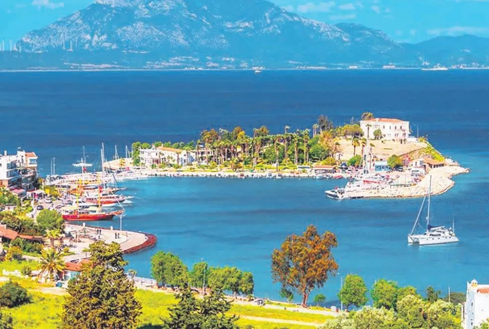 Jumbo karides: 8 bin TL