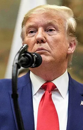 Trump'tan 'Barış Pınarı Harekatı' açıklaması