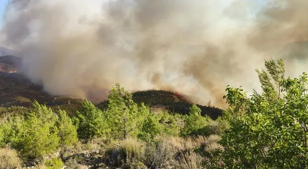 mersinde-orman-yanginlari-silifkede-alevler-havadan-ve-karadan-mudahaleyle-kontrol-altina-alindi-gulnarda-cali-1689520322289.jpeg Mersin'de orman yangınları! Silifke'de kontrol altına alındı: Gülnar'da havadan ve karadan müdahale sürüyor-2