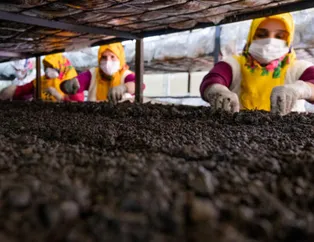 Konya’da üretiliyor! Aylık tam 40 bin lira gelir!