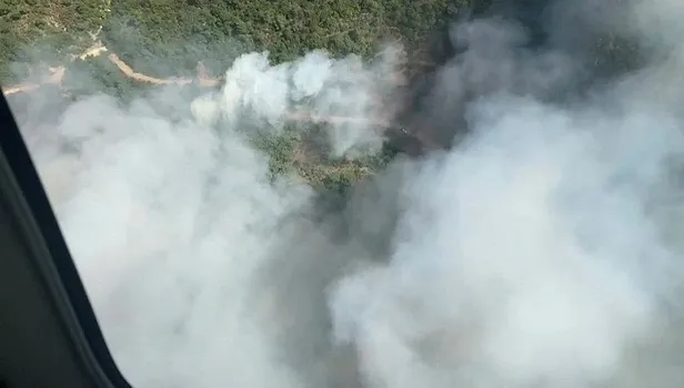 manisada-orman-yangini-1694520182532.jpeg