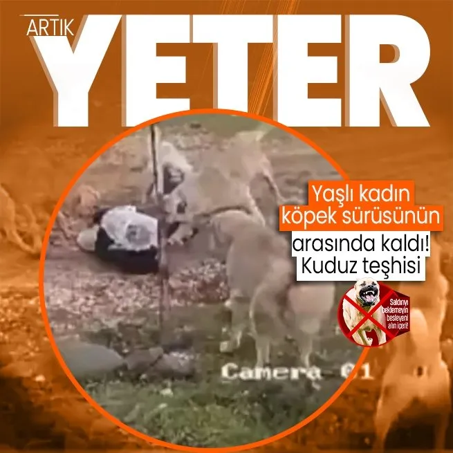 Son dakika: Ankaradan sonra bu kez Muş! 73 yaşındaki kadın başıboş köpeklerin saldırısına uğradı
