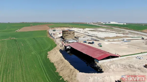 Edirne'de çevre katliamı! Tonlarca fuel oil 30 dekar alana ve dere yatağına yayıldı - 32