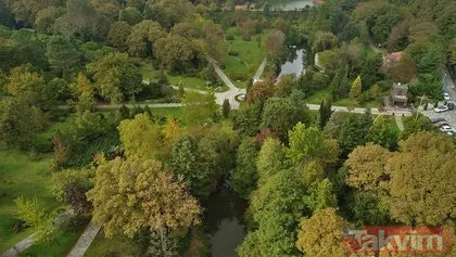 Atatürk Arboretumu hayran bırakıyor Atatürk Arboretumu’na nasıl gidilir?