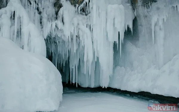 Buzulun altındaki saatli bomba: 5.000 yıllık uykusundan uyandı - 2