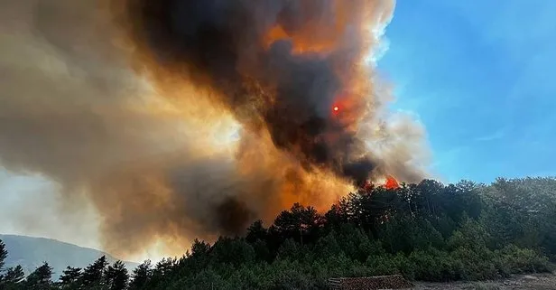 Balıkesir ve Manisa'daki yangınlar kontrol altına alındı