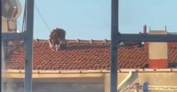 Çatıda tehlikeli yoga keyfi kamerada