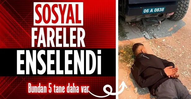 Ankara’da terör örgütü PKK’ya operasyon! Siber devriye ile tespit edildiler