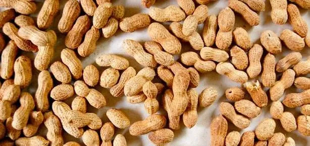 Cinsellik fıstık gibi