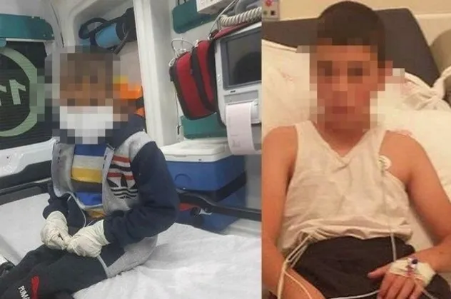 Türkiye kuduz vakasını konuşuyor! Uzmanlardan çok kritik uyarı: Hayati önem taşıyor | Kuduz tedavisi gören Mustafa Erçetin'in durumu nasıl?