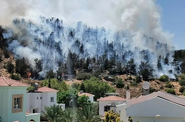 Son dakika: Kuzey Kıbrıs Türk Cumhuriyeti'nde Girne bölgesindeki ormanlık alanda yangın çıktı