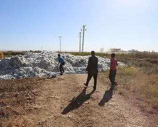 Türkiye’yi sarsan olayda yeni gelişme