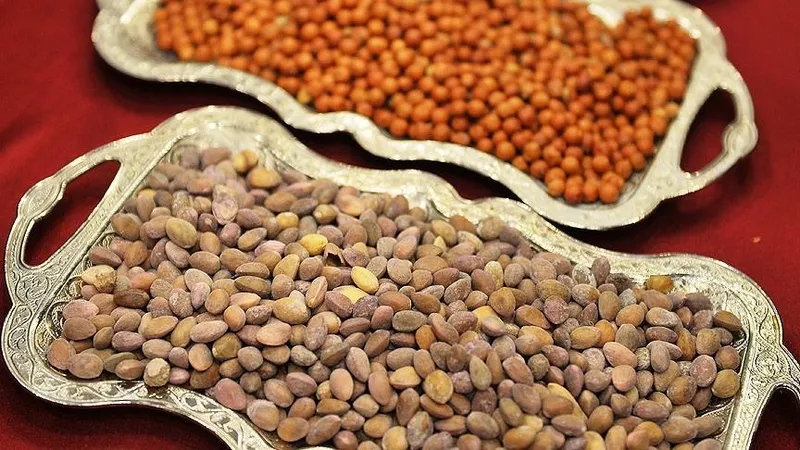 1710562926494.jpeg Türkiye genelinde Ramazan denetim sıklaştı! Yöresel ürün hilesi çökertildi! Halkın cebine göz dikenlere ceza yağdı-3