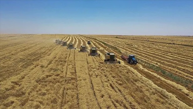 Hazine ve Maliye Bakanı Mehmet Şimşek göreve başladı: Ekonomide yeni dönemin yol haritası hazır! Öncelik enflasyonla mücadele-12