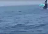 İran Yeni Silahı Jask'i Tanıttı