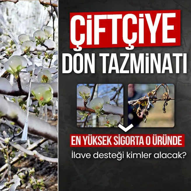 Zirai don sonrası çiftçiye rekor tazminat! Hangi ürünler etkilendi? İlave desteği kimler alacak?