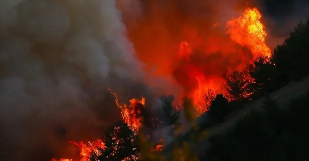 Meteoroloji ve valilikten yangın uyarısı! Yüksek sıcaklığa dikkat! İl il sayıldı