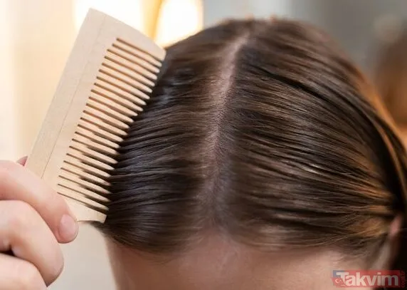 Saç Dökülmesi, Günümüzde Birçok Kişinin Karşı Karşıya Kaldığı Yaygın Bir Sorun Haline Geldi. Bilim İnsanlarının Yaptığı Yeni Bir Araştırmaya Göre, Gazlı Ve...