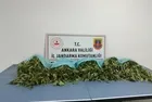 Zehir tacirlerine geçit yok! Ankara'da narkotik operasyonu: 25 kilogram kubar esrar ele geçirildi