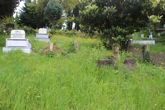 Ordu'da Yeşilçam klasiği Davaro gerçek oldu! Mezarların yönleri şaşırttı-8