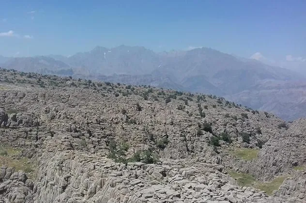 Terör örgütü PKK'dan hain saldırı