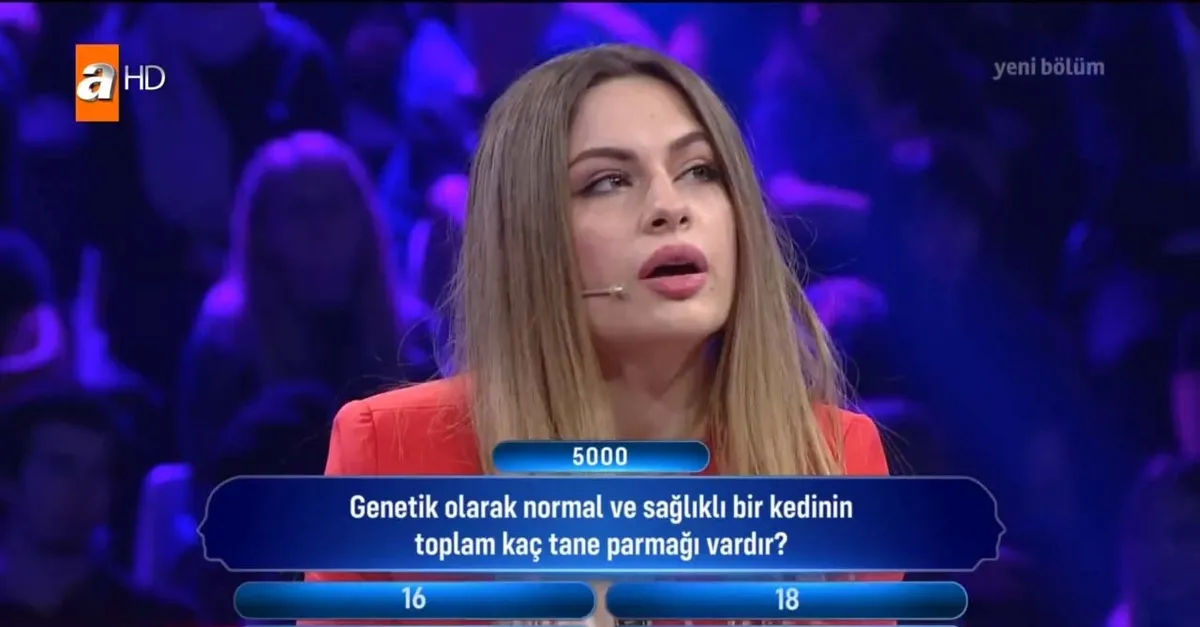 Müge Anlı’nın sunduğu Güven Bana yeni bölümüne damga vuran kedi sorusu | Müge Anlı Güven Bana 25 Temmuz soru ve cevapları