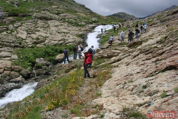 Türkiye'nin en yükseği Artabel Gölleri Tabiat Parkı'ndaki o alanlar tescillendi - 10