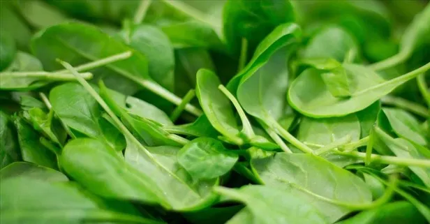 Uzmanlardan hafızayı güçlendiren besinler!