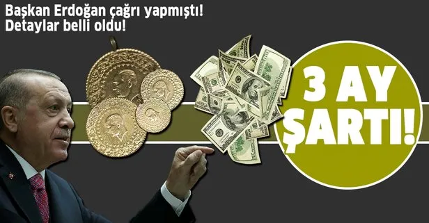 Son dakika: Başkan Erdoğan altın ve dolar çağrısı yapmıştı! Varlık Barışı’nın detayları belli oldu! 3 ay şartıyla vergiler...