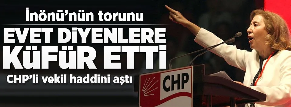 İnönü'nün torunu haddini aştı!