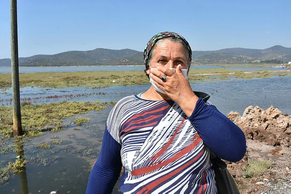1598950630826.jpg Flamingo Cenneti'ni kokuttular! Mahalleli CHP'li belediyeye isyan bayrağını çekti-3