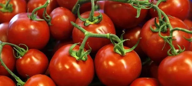 Rusların gözü Türk domatesinde
