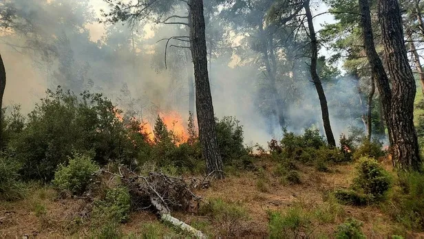 canakkalede-yildirim-sonrasi-orman-yangini-1695823900978.jpeg Çanakkale'de yıldırım sonrası orman yangını!-3