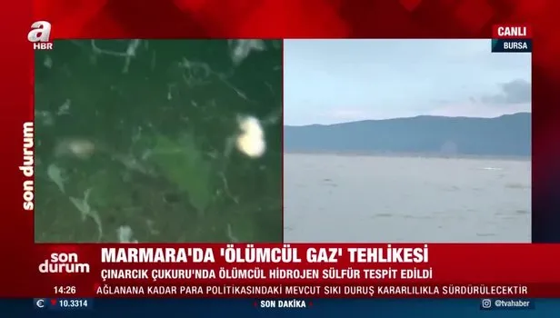 Çınarcık Çukuru'nda canlı yaşamını yok eden hidrojen sülfür gazı tespit edildi