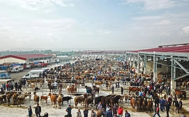 son-dakika-hayvan-pazarlari-acildi-mi-ne-zaman-acilacak-2023-hayvan-pazarlari-kapatildi-mi-neden-aciklama-geld-1682318072251.jpeg 2023 Hayvan pazarları kapatıldı mı, neden? AÇIKLAMA GELDİ! Son dakika: Hayvan pazarları açıldı mı, ne zaman açılacak?-2