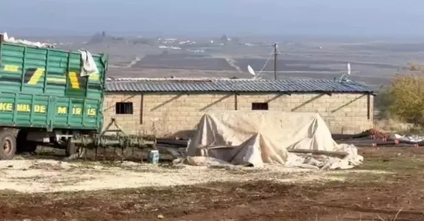 Şanlıurfa'da ekipler ahır diye girdi, karşılaştıkları manzara karşısında şoke oldu: Tesisten her ay 10 milyon TL para kazanmışlar