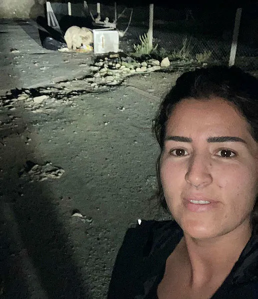 'Bebiş' adını verdiği bozayı ile selfie yaptı-1