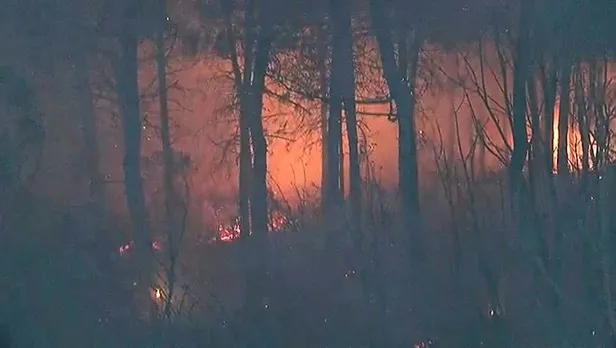 son-dakika-istanbul-maltepede-orman-yangini-1693073713866.jpeg Son dakika: İstanbul Maltepe'de orman yangını!-3